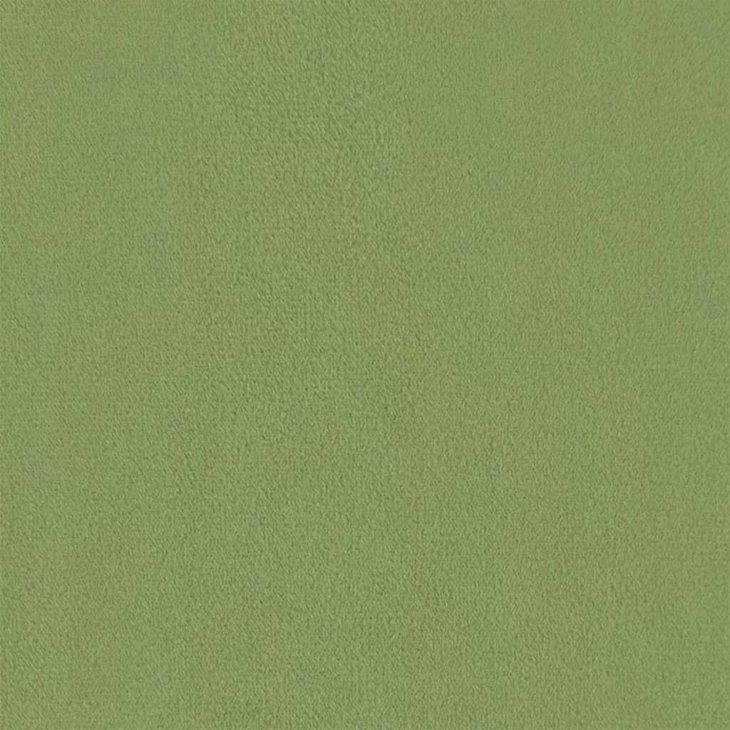 Fauteuil elektrisch verstelbaar fluweel lichtgroen