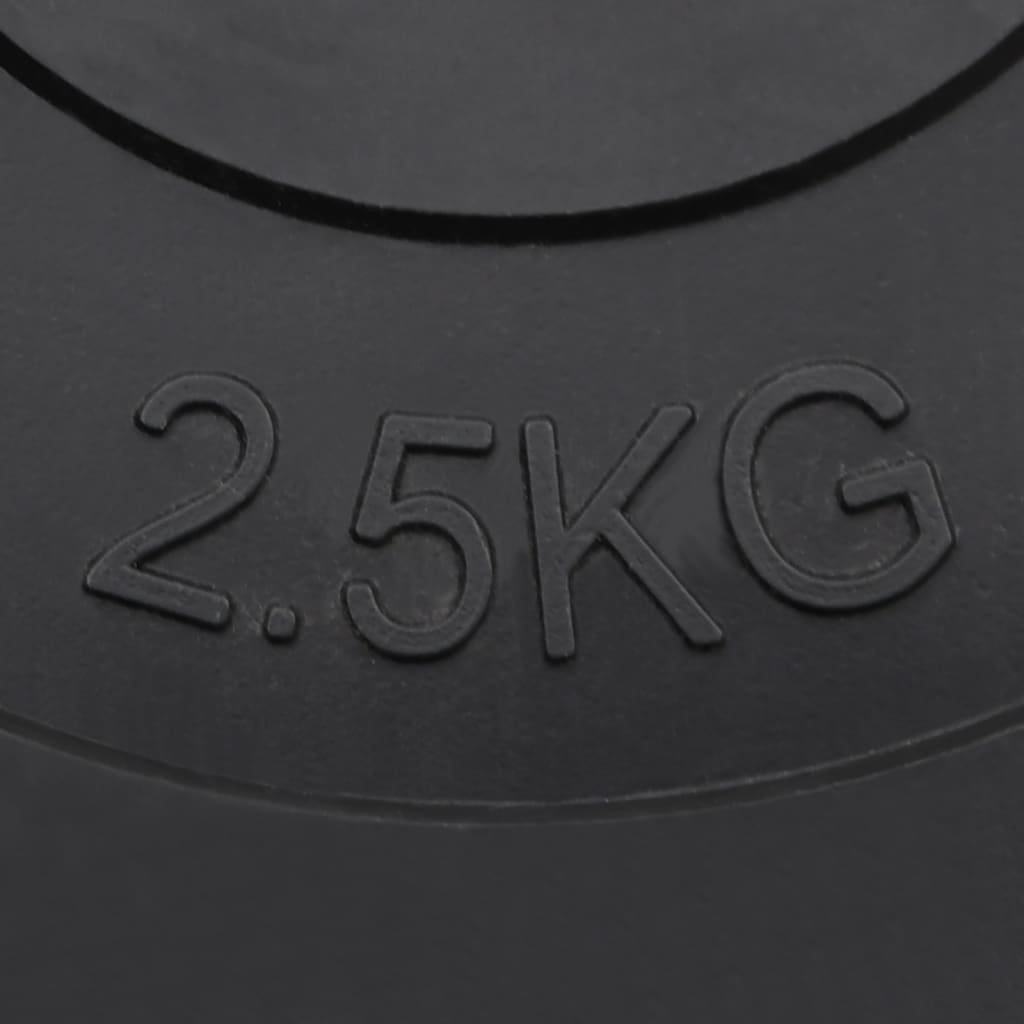 Halterschijven 6 st 30 kg cement