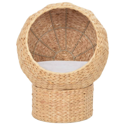 Cat basket seagrass