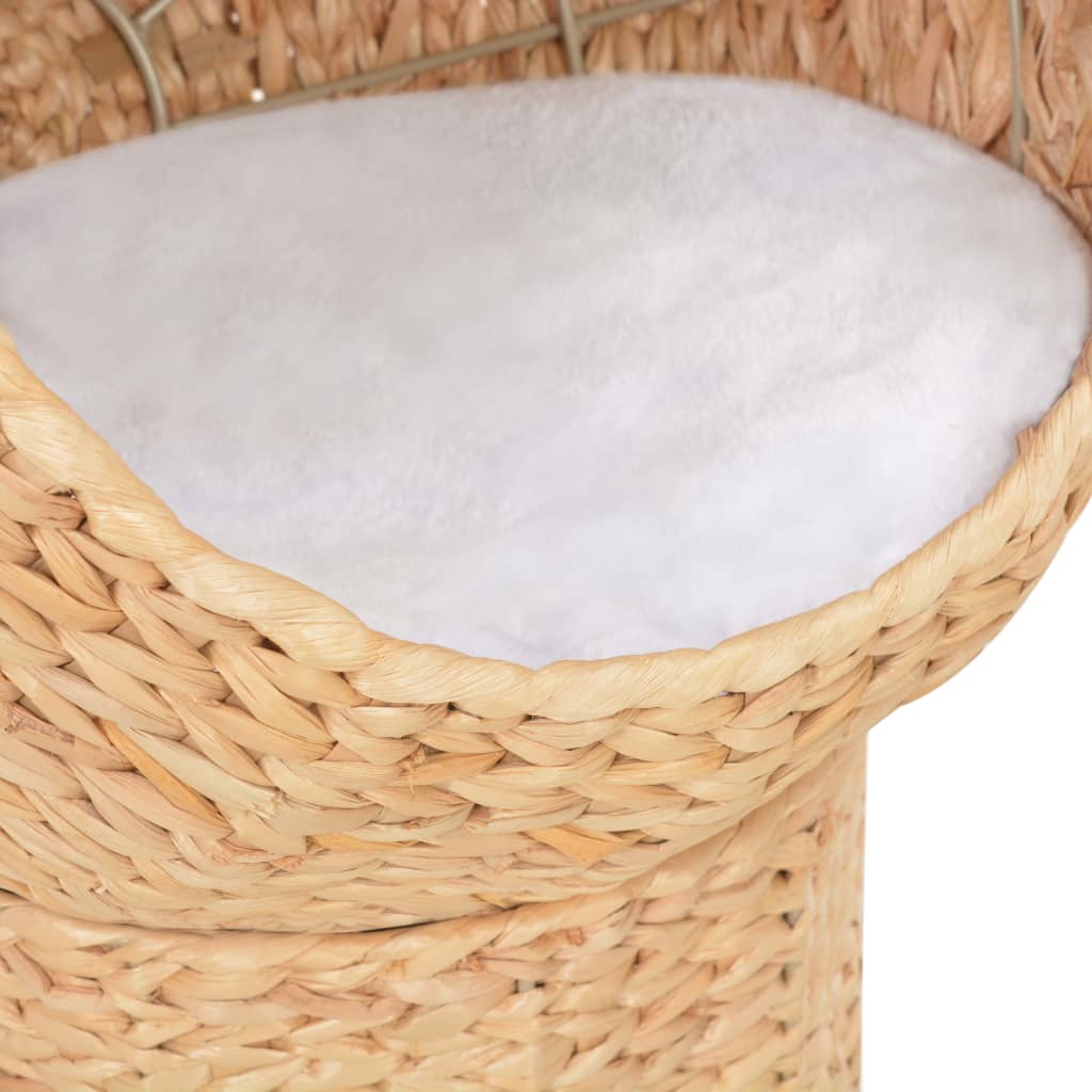 Cat basket seagrass