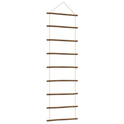 Wanddecoratie laddervormig 50x150 cm naturel tak