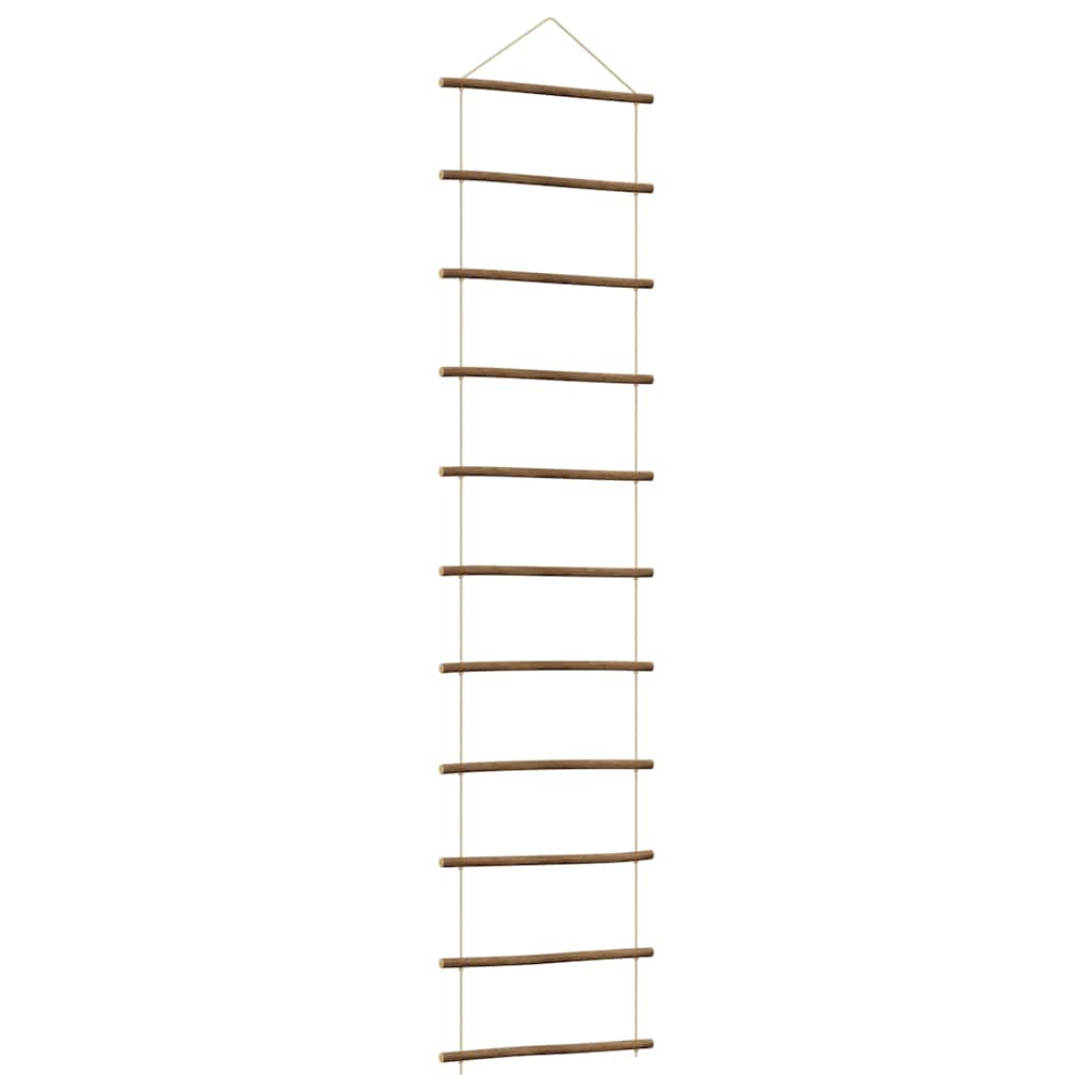 Wanddecoratie laddervormig 50x200 cm naturel tak