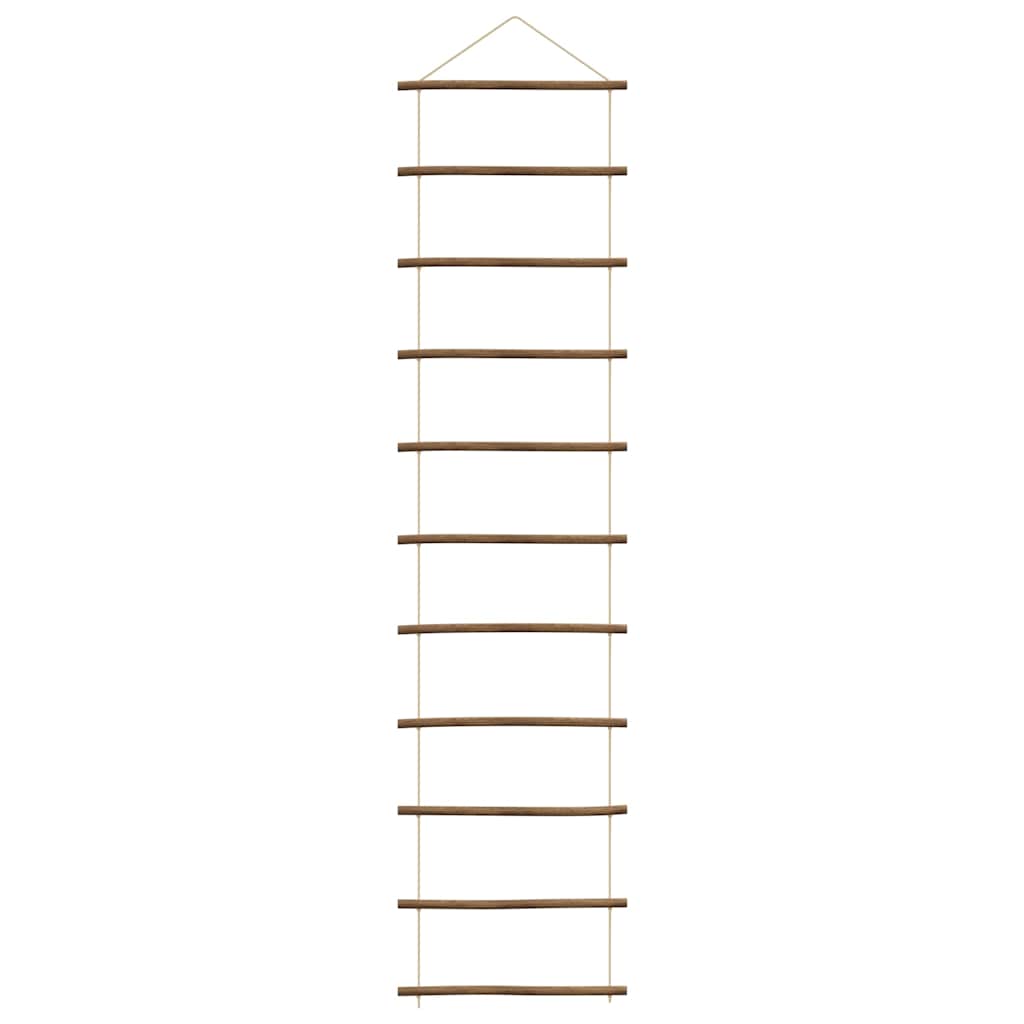 Wanddecoratie laddervormig 50x200 cm naturel tak